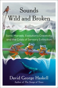Cover image: Sounds Wild and Broken 9781984881540