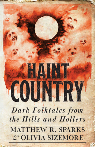 صورة الغلاف: Haint Country 9781985900967
