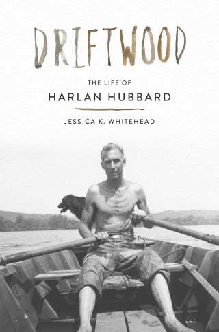 Cover image: Driftwood 9781985901544