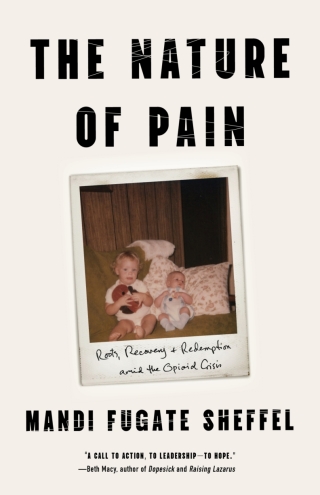 Cover image: The Nature of Pain 9781985903104