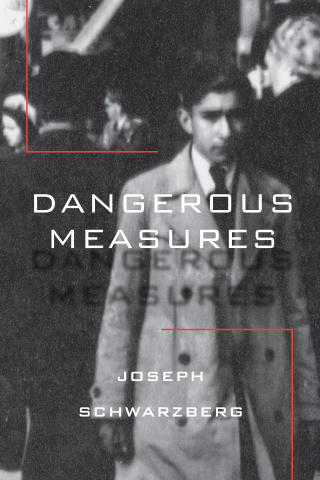 Cover image: Dangerous Measures 9781988065458