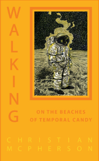 Cover image: Walking on the Beaches of Temporal Candy 9781988168401