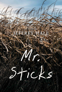 Cover image: Mr. Sticks 9781988281674