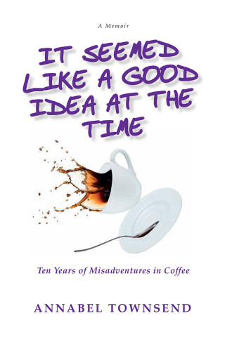 Cover image: It Seemed Like a Good Idea at the Time 9781988286501
