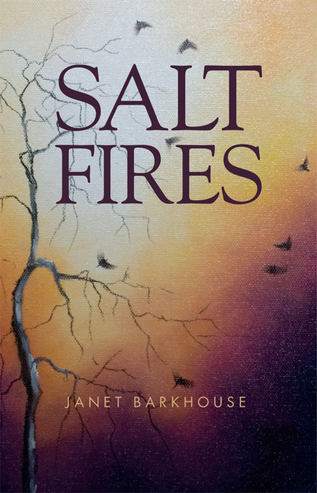 Salt Fires