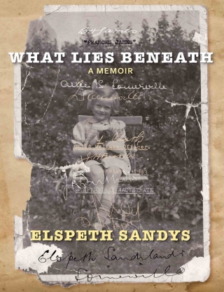 Cover image: What Lies Beneath 1st edition 9781877578892