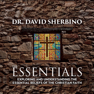 Cover image: The Essentials 9781988928579