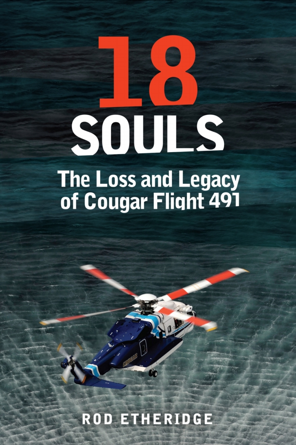 18 Souls The Loss and Legacy of Cougar Flight 491