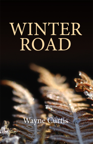 Imagen de portada: Winter Road 9781989725078