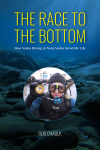 Cover image: The Race to the Bottom 9781989725412