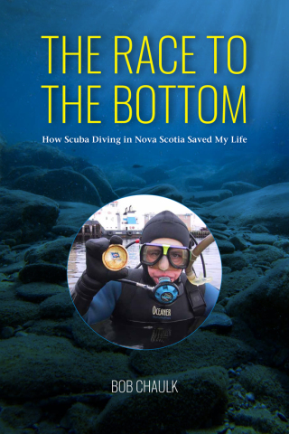 Titelbild: The Race to the Bottom 9781989725412