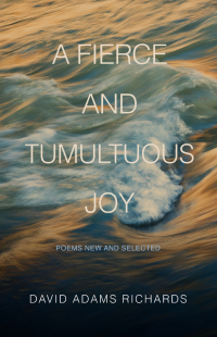 Cover image: A Fierce and Tumultuous Joy 9781989725955
