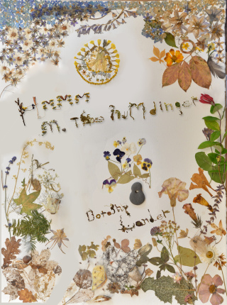 Cover image: Hmmm - M the Humdinger 1st edition 9780993829574