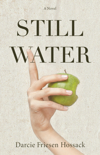 Titelbild: Stillwater 9781990160202