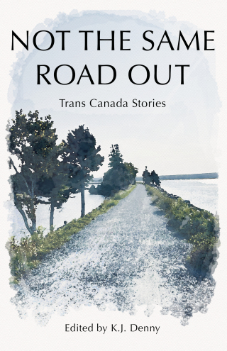 Titelbild: Not the Same Road Out 9781990160509