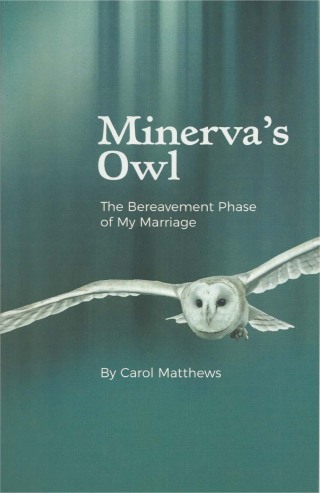Cover image: Minerva's Owl 9780889823259