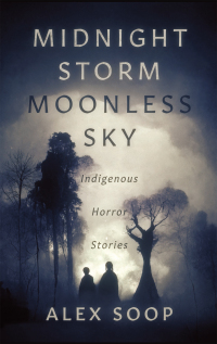 Imagen de portada: Midnight Storm Moonless Sky 9781990735127