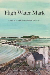 Cover image: High Water Mark 9781990770203