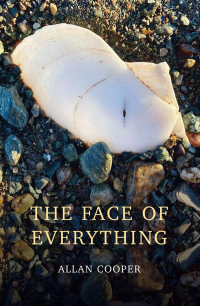 Omslagafbeelding: The Face of Everything 9781990770227