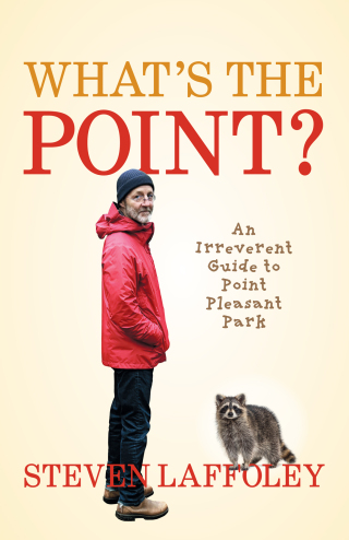 Cover image: What’s the Point? 9781990770593