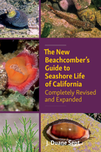 صورة الغلاف: The New Beachcomber’s Guide to Seashore Life of California 9781990776076