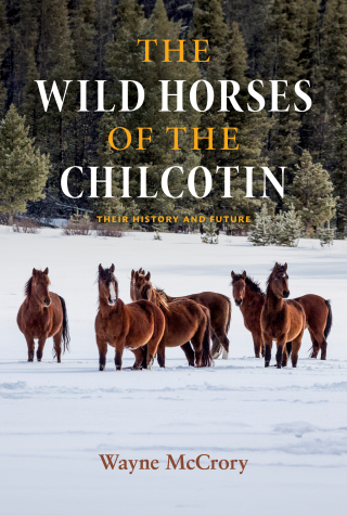 صورة الغلاف: The Wild Horses of the Chilcotin 9781990776366