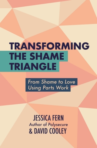 صورة الغلاف: Transforming the Shame Triangle 9781990869709