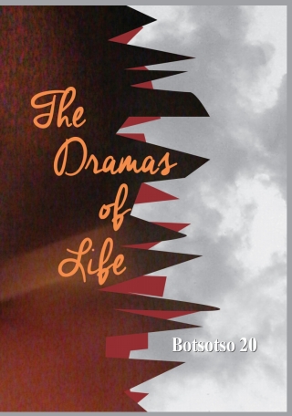 Cover image: Horwitz: Botsotso 20: Drama 1st edition 9780994708151