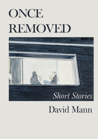 Cover image: Once Removed 9781990922732