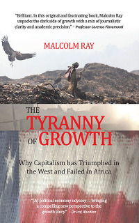 Titelbild: The Tyranny of Growth 1st edition 9781990973406