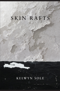 Titelbild: Sole: Skin Rafts 1st edition 9781928433392