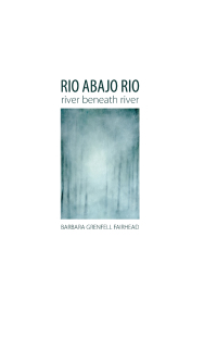 Cover image: Rio Abajo Rio 9781928433323