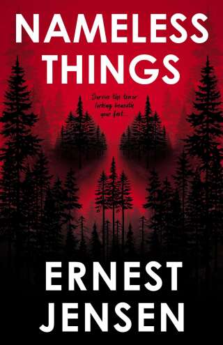 Cover image: Nameless Things 9781998076963