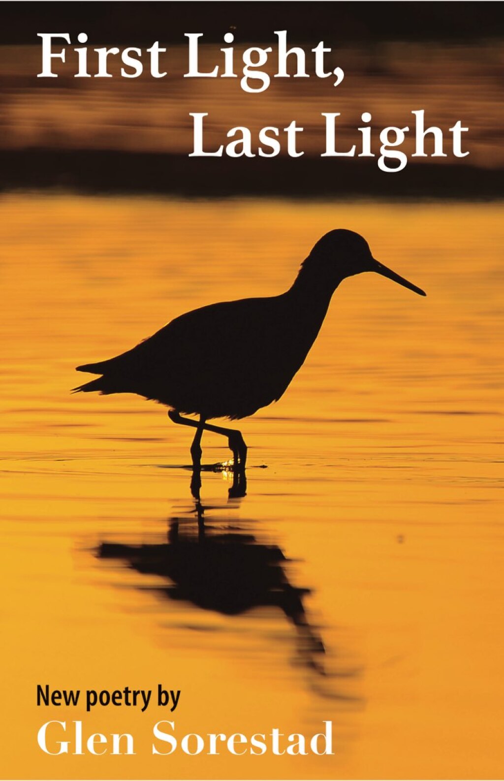 ISBN 9781998273461