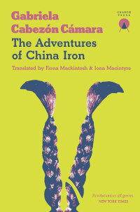 Cover image: The Adventures of China Iron 9781916465664