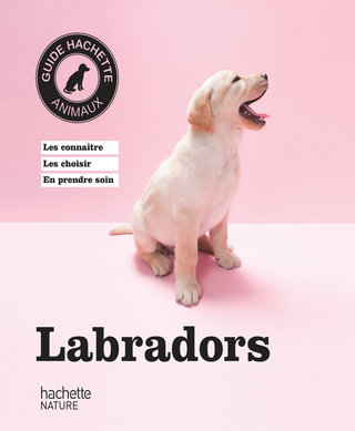 Cover image: Labradors 9782012311190