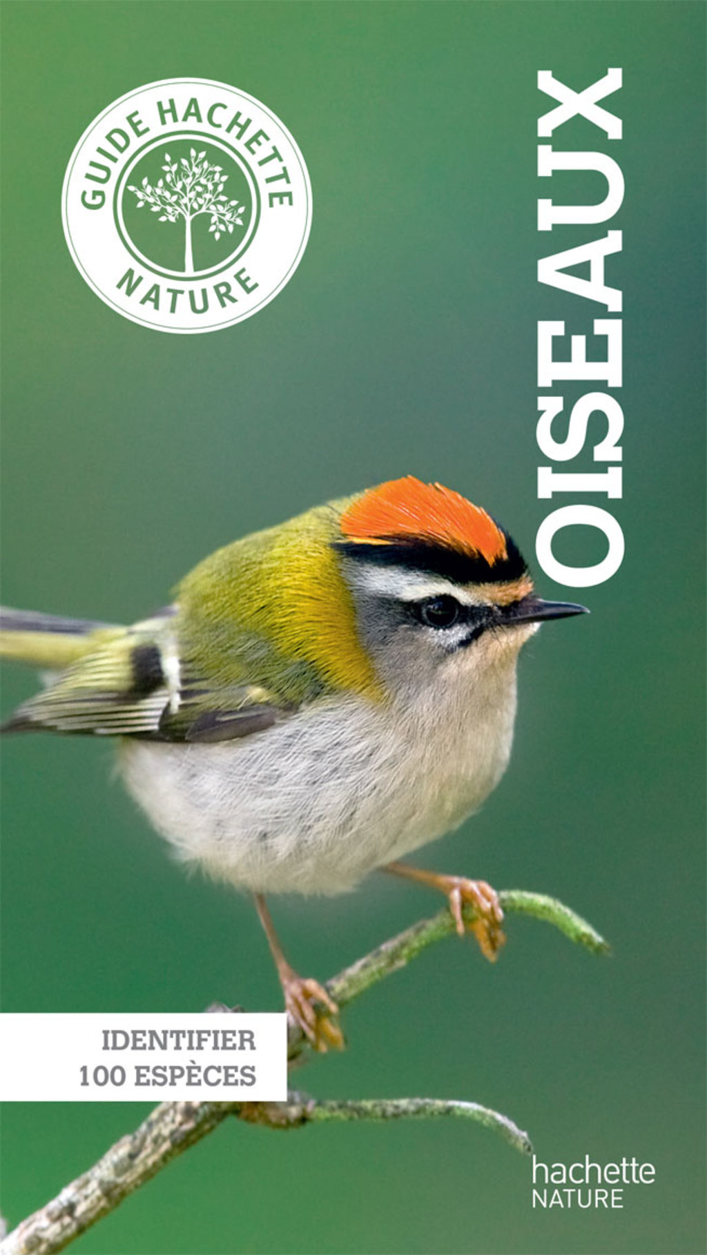 Le petit guide Hachette des oiseaux