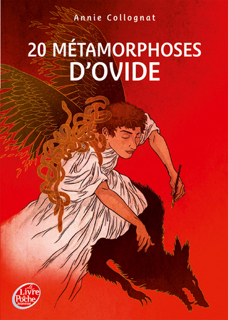 Cover image: 20 métamorphoses d'Ovide 9782013285001