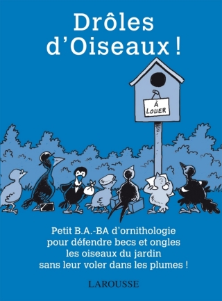 Cover image: Drôles d'Oiseaux ! 9782035871855