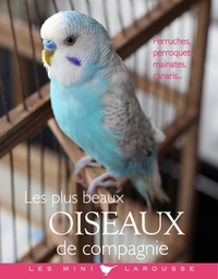 Cover image: Les plus beaux oiseaux de compagnie 9782035879400