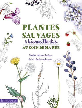 Cover image: Plantes sauvages & bienveillantes au coin de ma rue 9782035898432