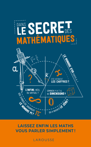 Cover image: Dans le secret des mathématiques 9782035979902