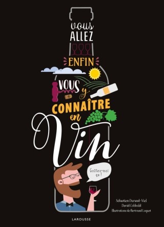 Cover image: Vous allez enfin vous y connaître en vin 9782036009837