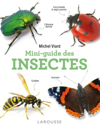 Cover image: Mini-guide des insectes 9782036012905