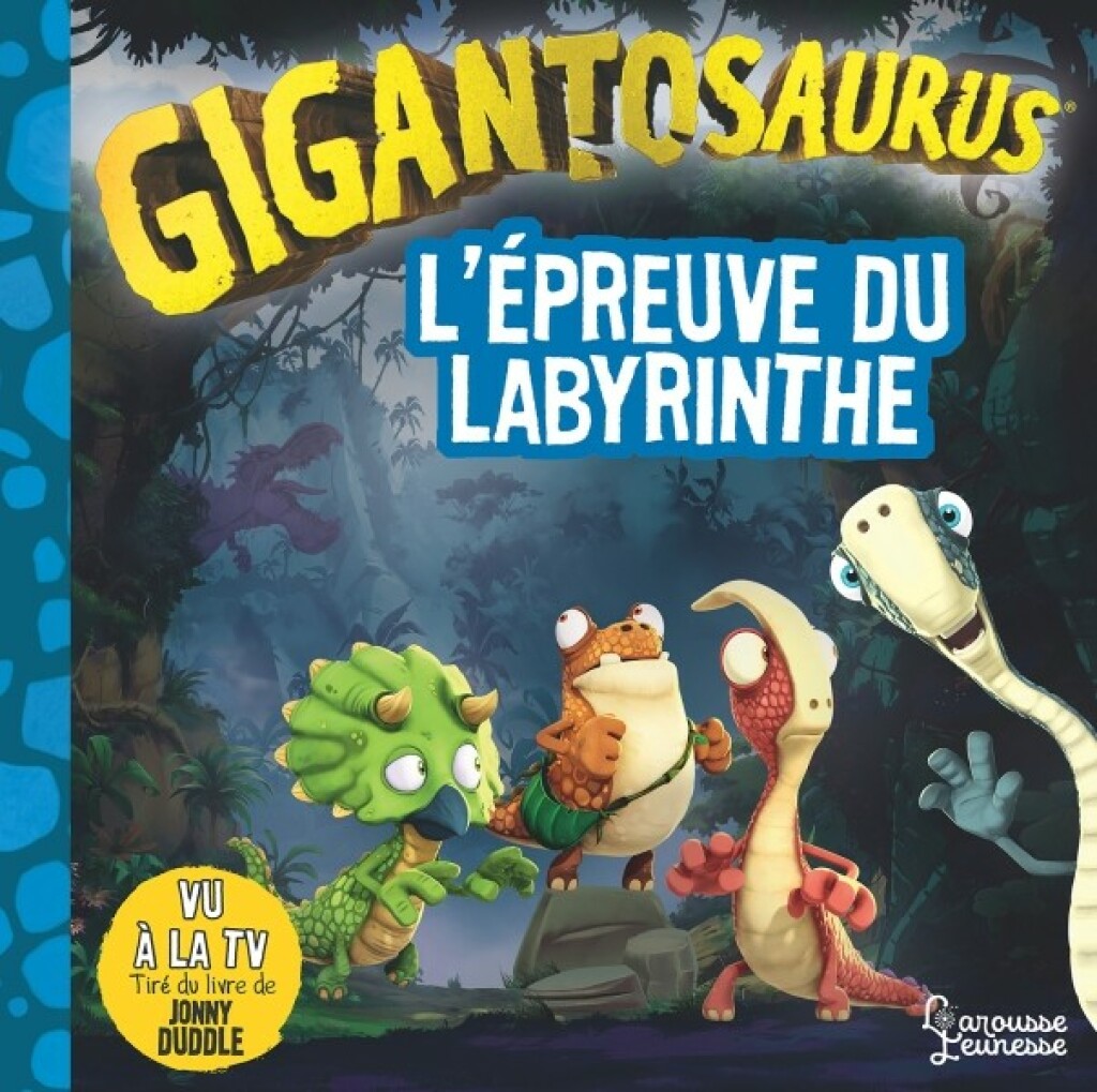 L’épreuve du labyrinthe
