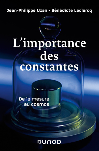 Cover image: L'importance des constantes 9782100795598