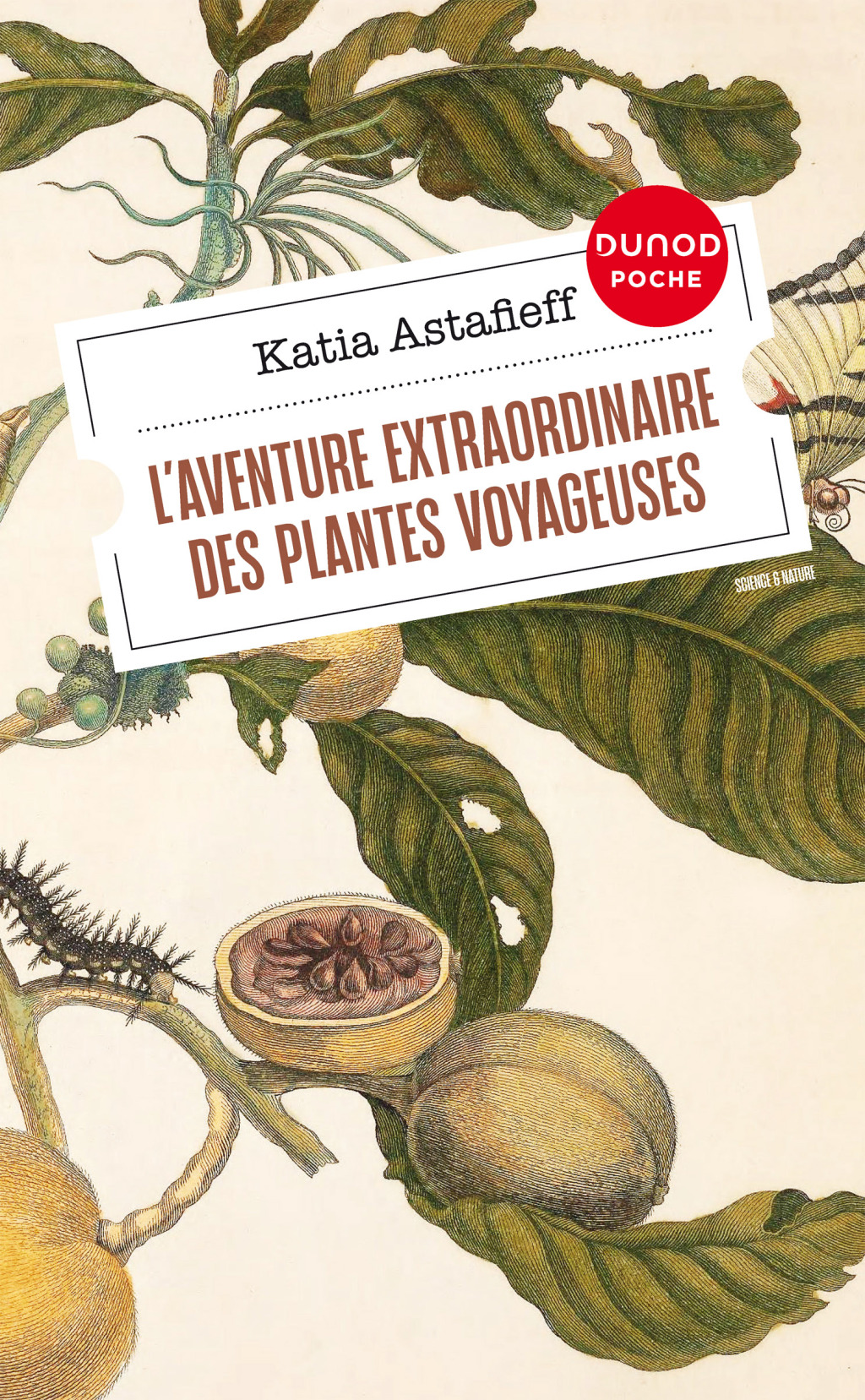 L’aventure extraordinaire des plantes voyageuses 2nd Edition