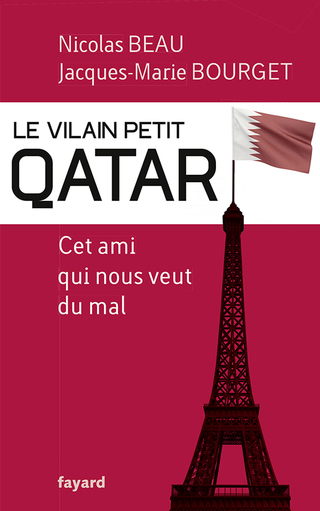Cover image: Le Vilain Petit Qatar 9782213671284