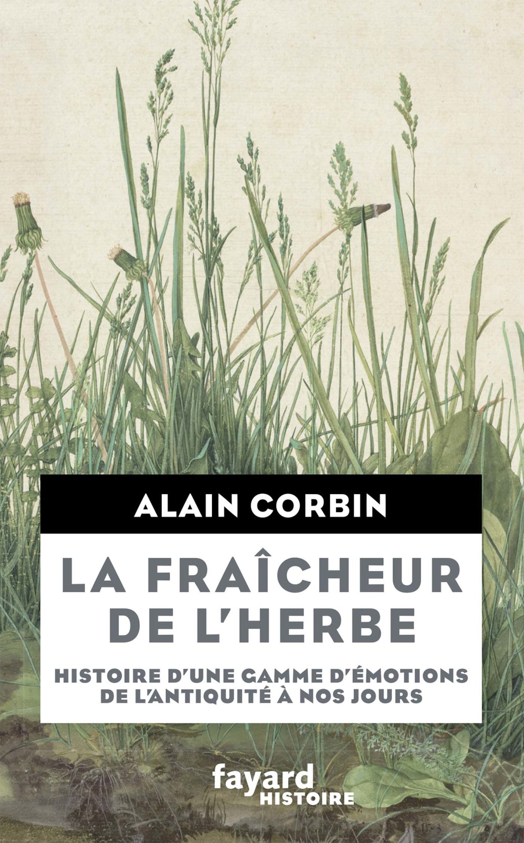 La Fraîcheur de l’herbe Histoire d’une gamme d’émotions