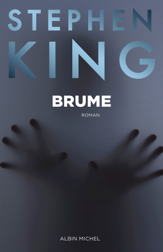 Cover image: Brume 1st edition 9782226031419
